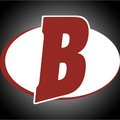 Berry Hill Limited logo