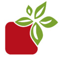 Yummy Market logo