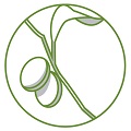 Ammar's Market logo