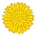Dandelion Foods