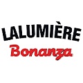 Bonanza logo